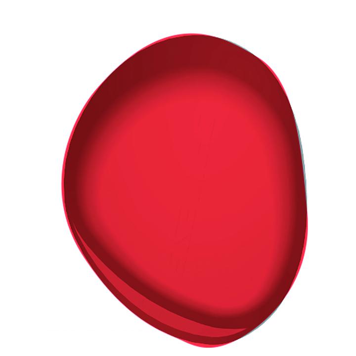 Dainese Armour Pista Elbow Slider - Fluro Red