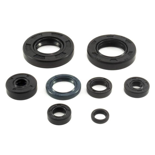 Cometic Oil Seal Kit (C3105OS)