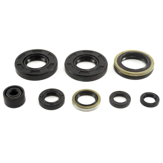 Cometic Oil Seal Kit (C3501OS)