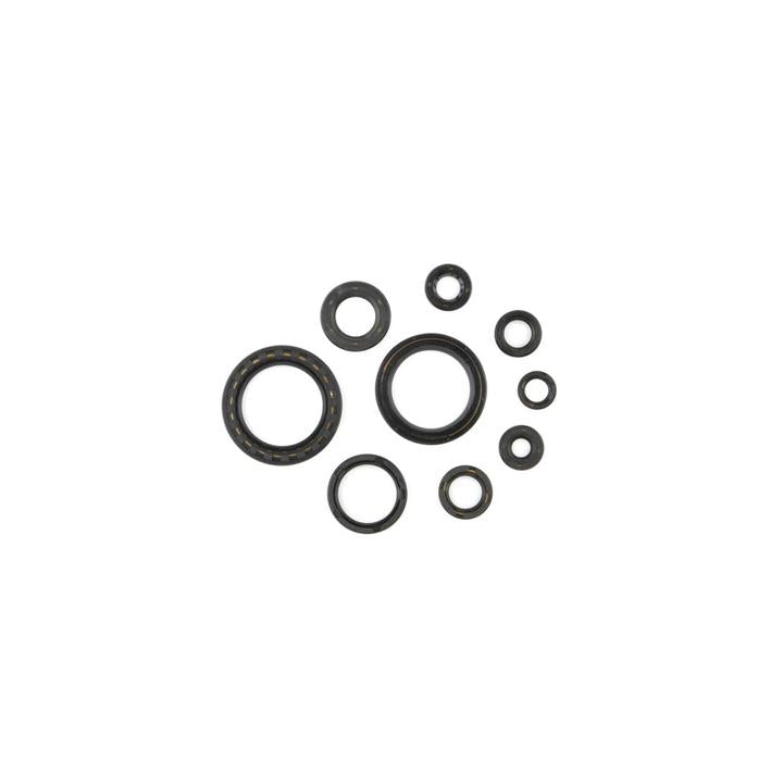 Cometic Oil Seal Kit (C7185OS)