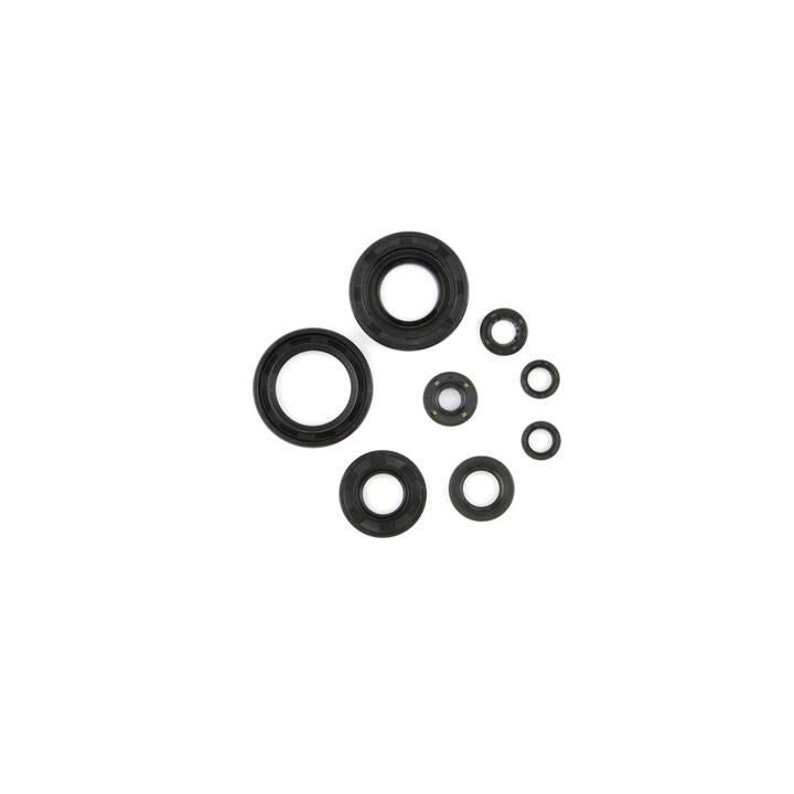 Cometic Oil Seal Kit (C7507OS)