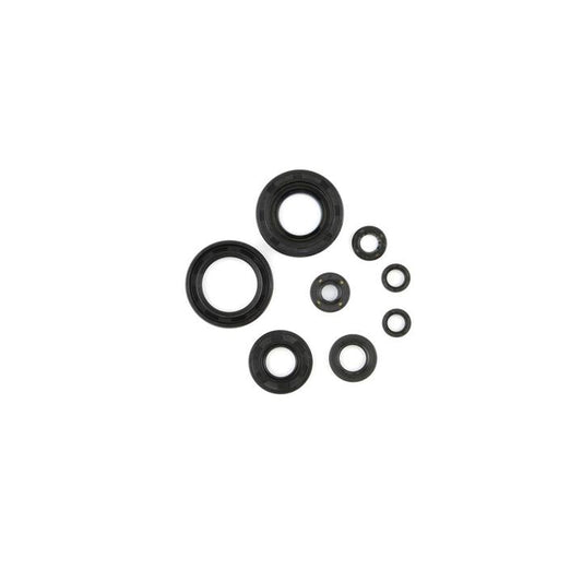 Cometic Oil Seal Kit (C7507OS)