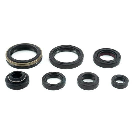 Cometic Oil Seal Kit (C7778OS)