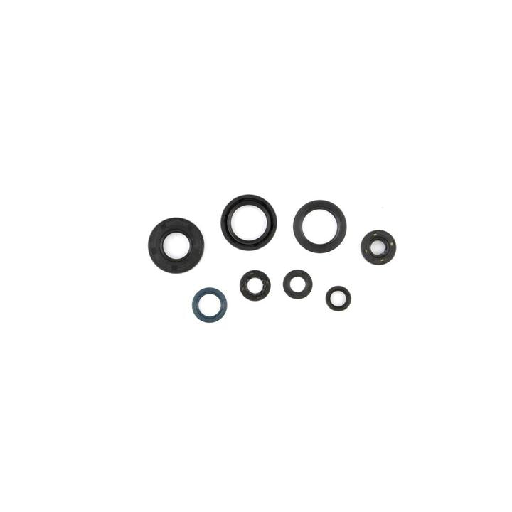 Cometic Oil Seal Kit (C7851OS)