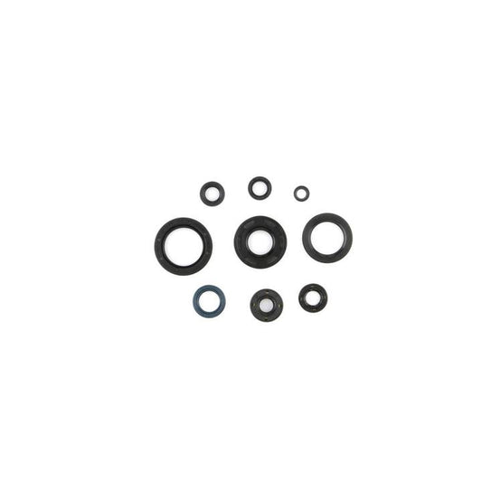 Cometic Oil Seal Kit (C7853OS)