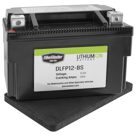 Dynalife Lithium-Ion Battery - DLFP12-BS