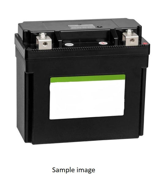 Dynalife Lithium-Ion Battery - MLFP14-BS