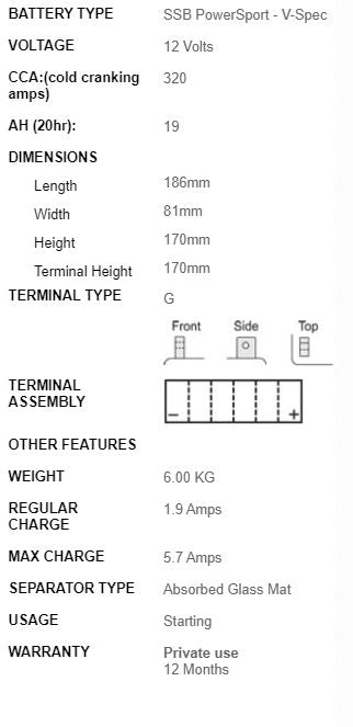 SSB AGM Battery - V51913